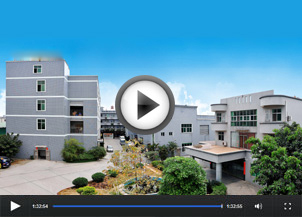 廣東科技股份有限公司